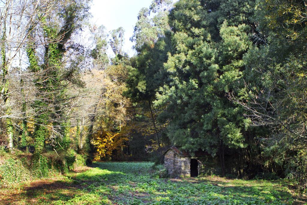 Quinta De Mouraes Casa Dos Rododendros Guest House Lever Exterior photo